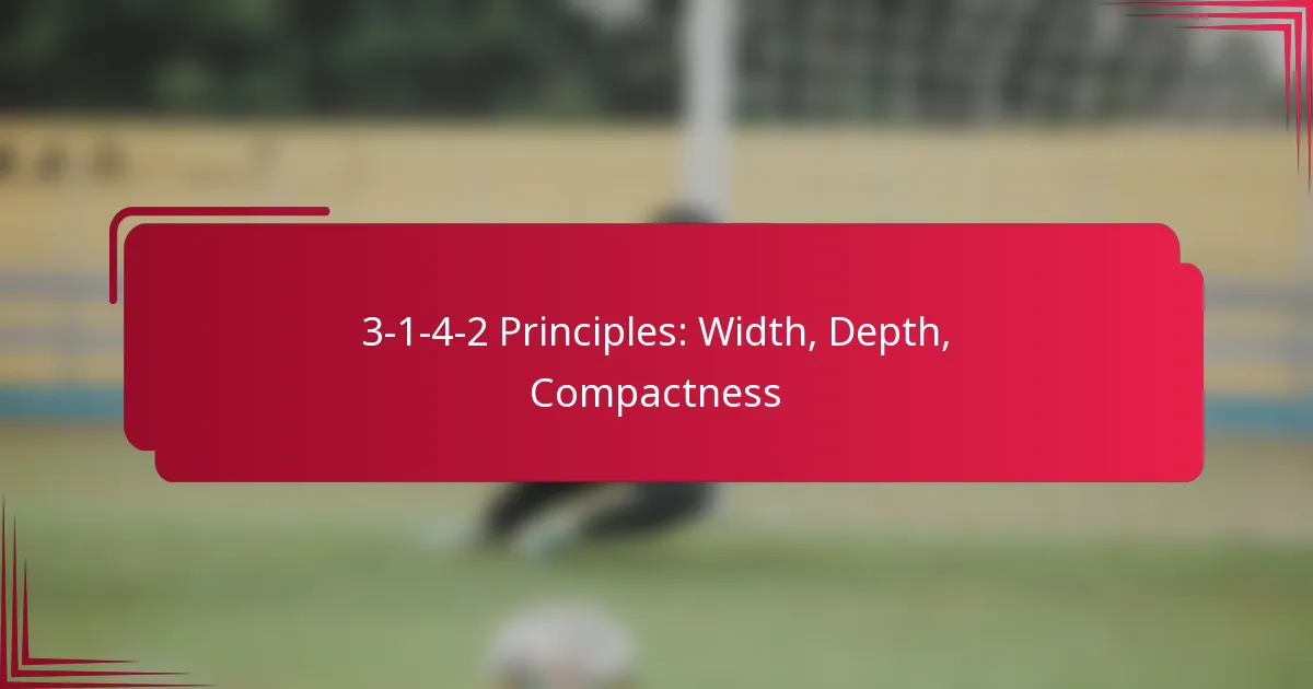 Read more about the article 3-1-4-2 Principles: Width, Depth, Compactness