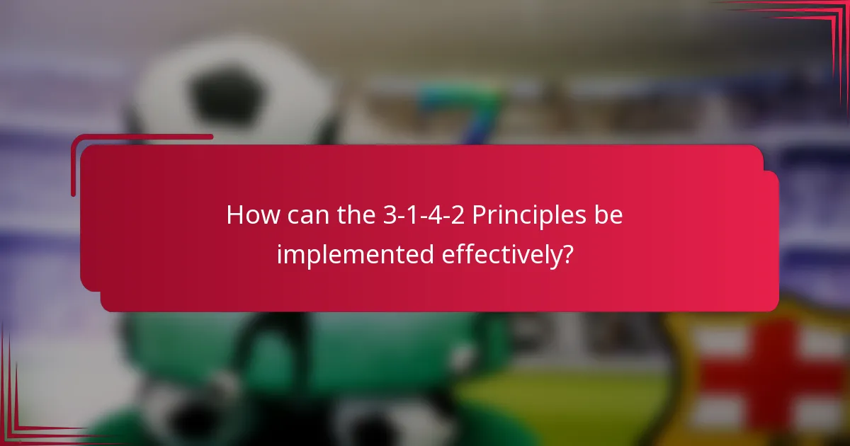 How can the 3-1-4-2 Principles be implemented effectively?
