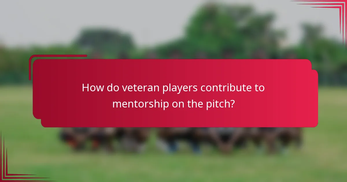 How do veteran players contribute to mentorship on the pitch?