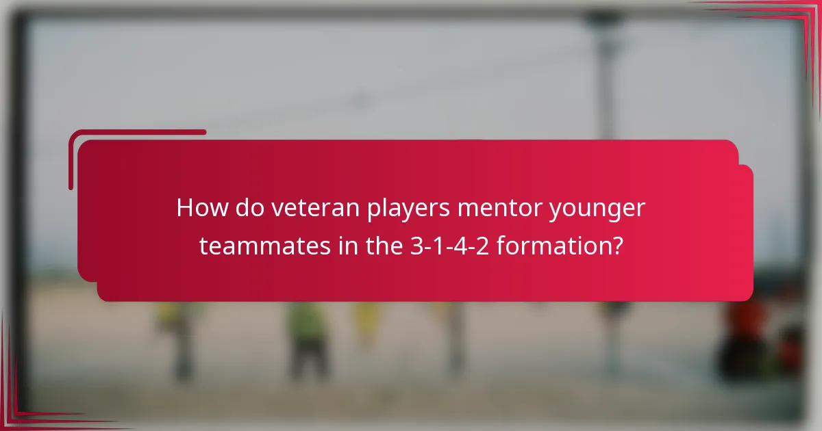 How do veteran players mentor younger teammates in the 3-1-4-2 formation?