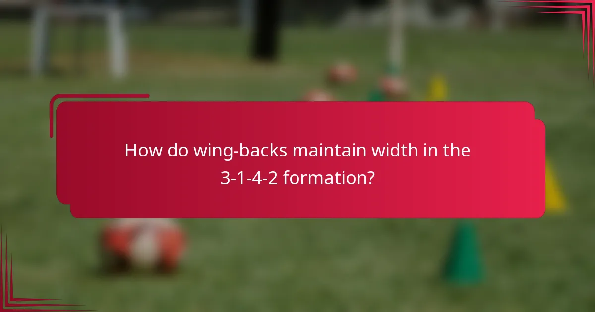 How do wing-backs maintain width in the 3-1-4-2 formation?