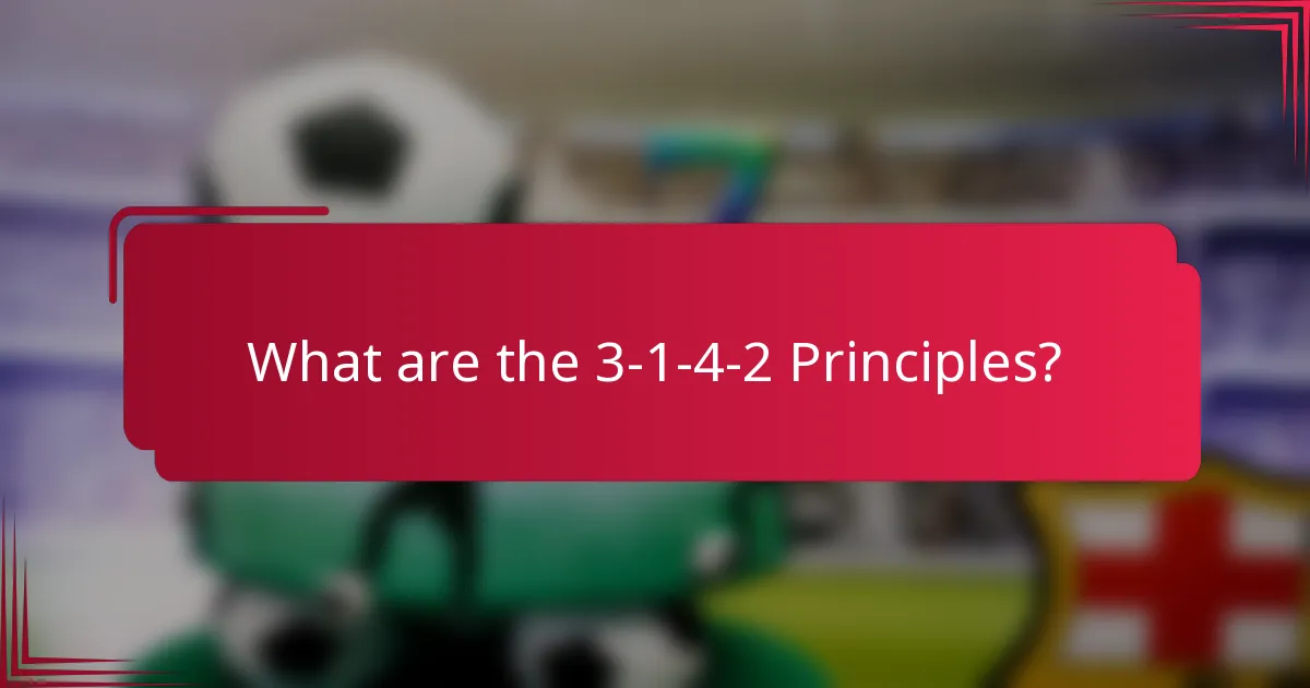 What are the 3-1-4-2 Principles?