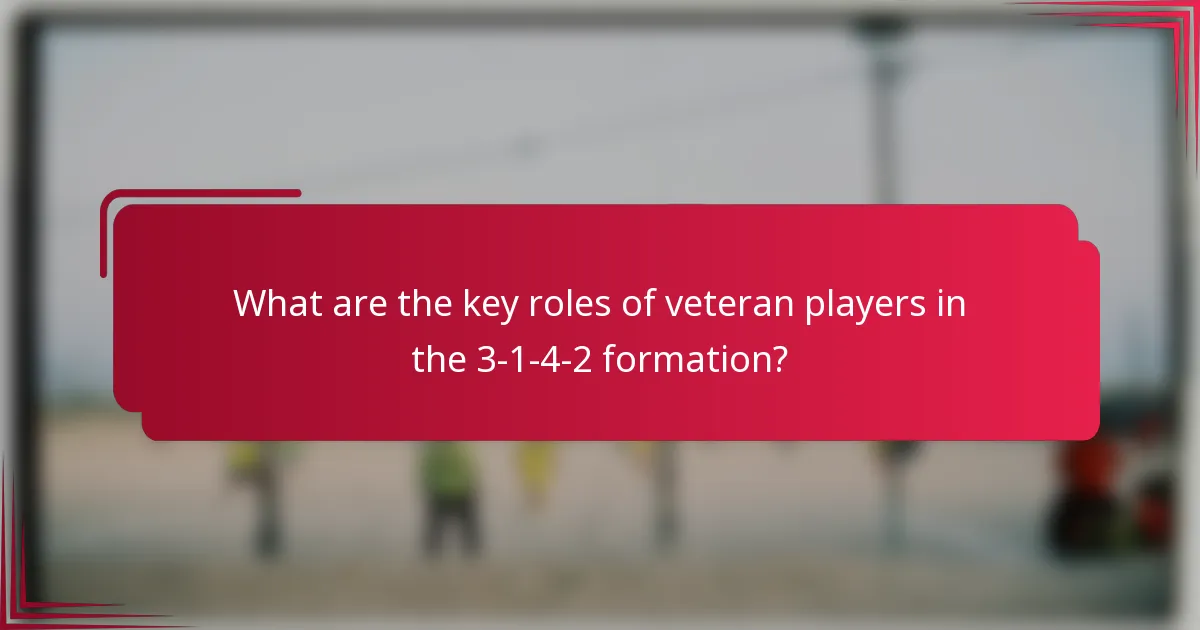 What are the key roles of veteran players in the 3-1-4-2 formation?