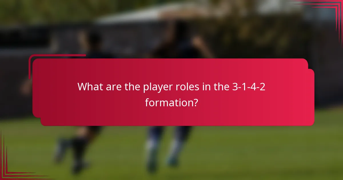 What are the player roles in the 3-1-4-2 formation?