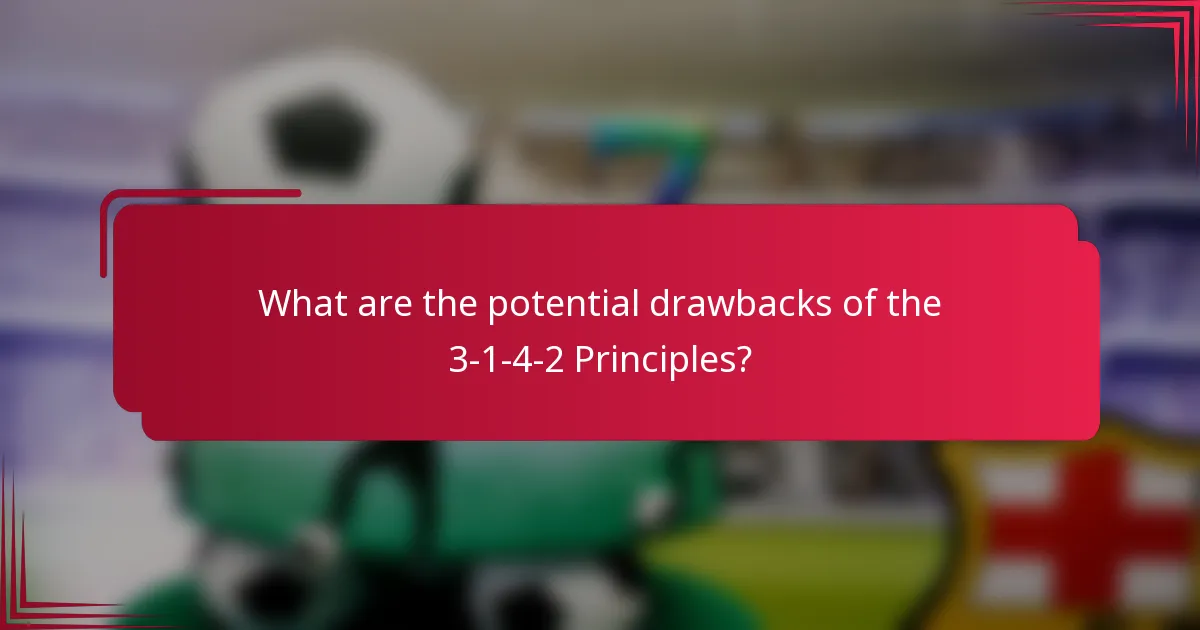 What are the potential drawbacks of the 3-1-4-2 Principles?
