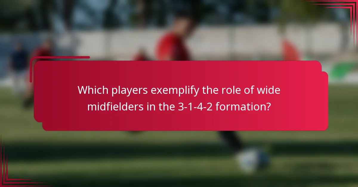 Which players exemplify the role of wide midfielders in the 3-1-4-2 formation?